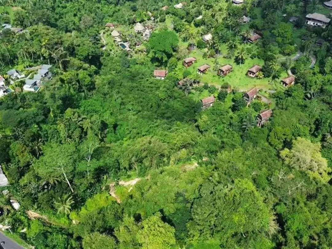 Tanah Lokasi Strategis Sebatu Ubud - Image 8 of 9