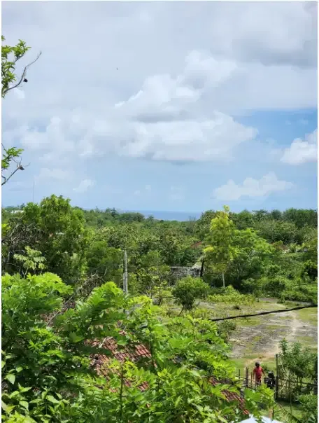Land for lease ocean view ungasan - Image 3 of 8