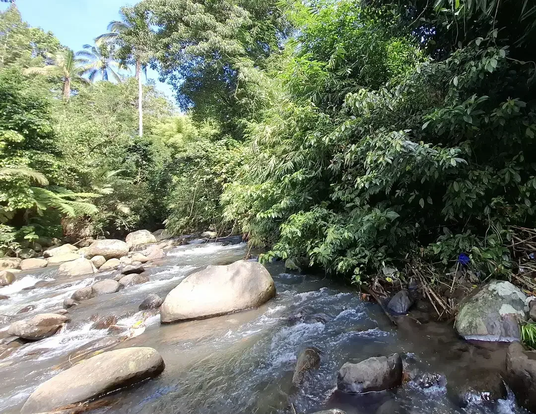 Dijual tanah los sungai view gunung dan sawah - Image 2 of 9