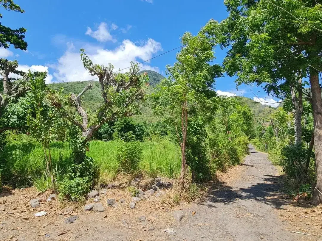 Absolute Beachfront Commercial Zoning Freehold Land of 2,770 Sqm with 65 meter wide beachfront In Amed - Image 7 of 10