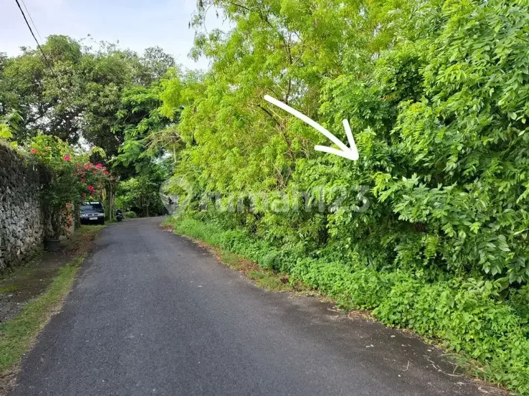 Land For Sale In Jalan Temu Dewi Pecatu Uluwatu, South Kuta, Badung - Bali - Image 4 of 5