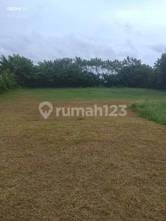 Tanah Los Pantai Strategis Luas di Negara, Jembrana - Image 1 of 4