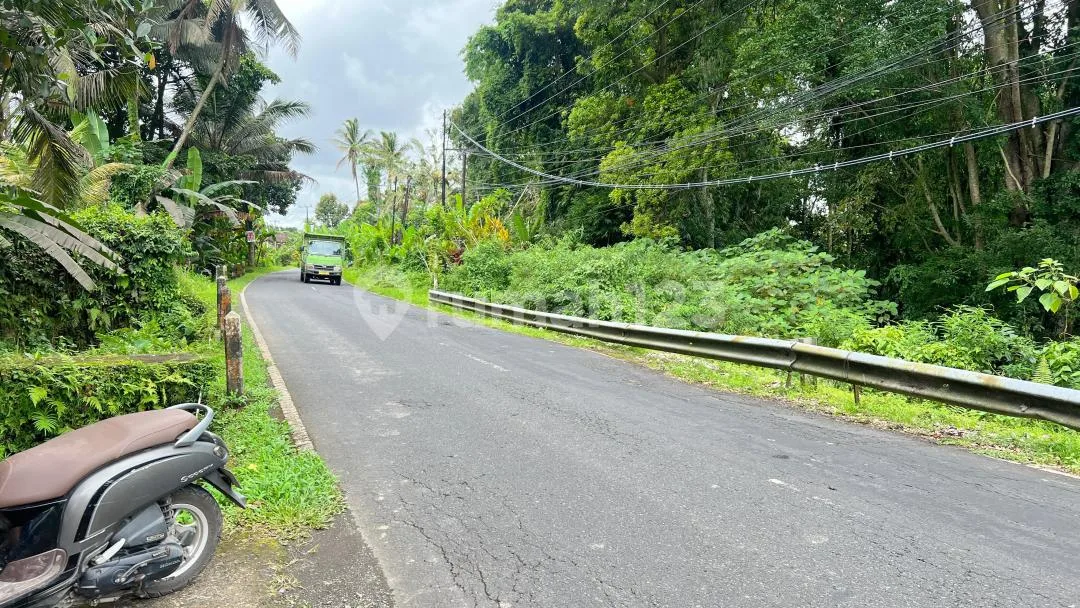 Jual Tanah Luasan Kecil View Sawah Cantik di Tabanan Bali - Image 3 of 4