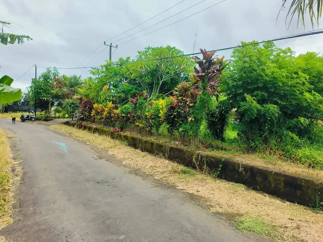 Tanah Murah Di Pinggir Jalan Banjar Sukawati Selemadeg Dekat Megati Raya Denpasar Gilimanuk - Image 10 of 10