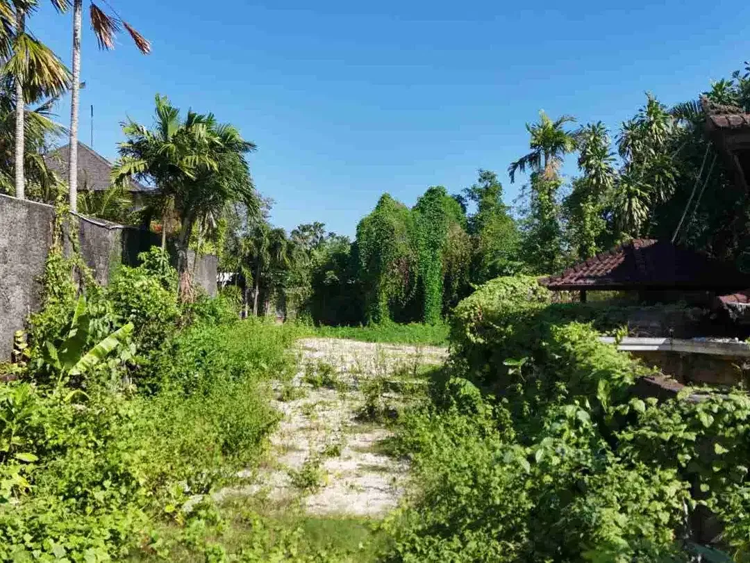 Tanah Ngantong Link Villa Elite Kerobokan Seminyak Bali - Image 4 of 6