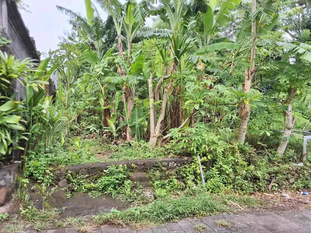 Sebidang tanah dengan luasan 12are berlokasi di kawasan Bali Kencana cocok untuk villa. - Image 5 of 6
