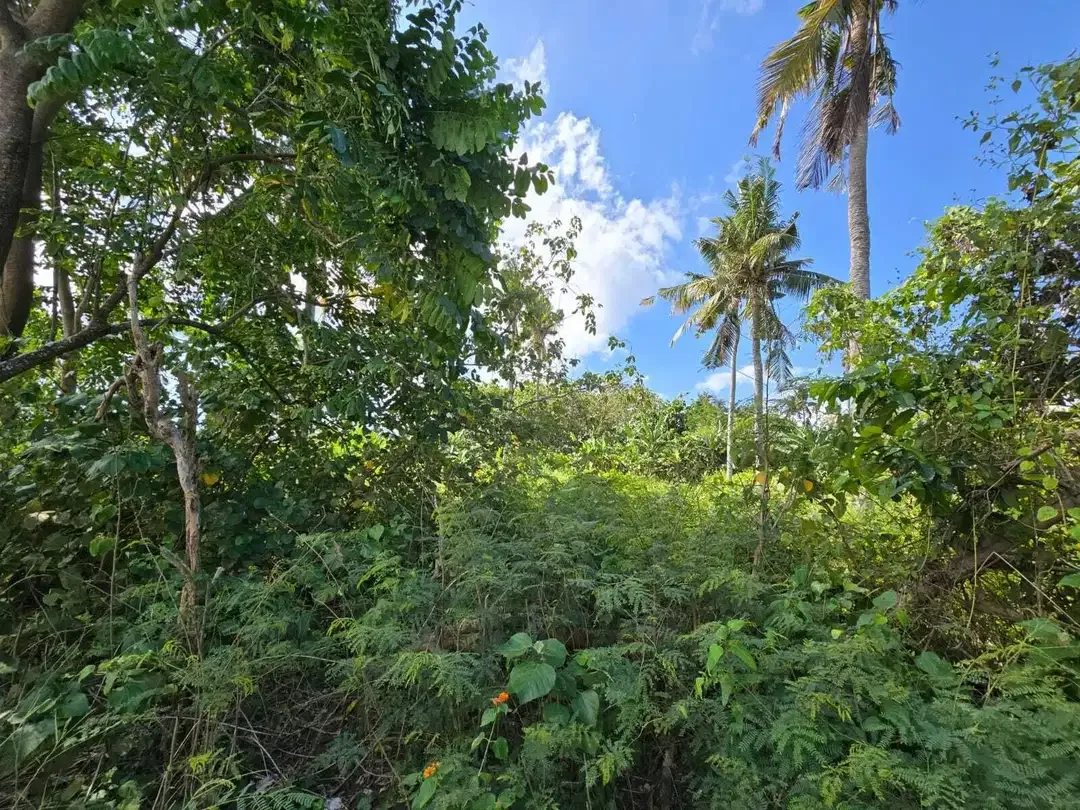 Dijual tanah kecil los pantai di bali - Image 5 of 10