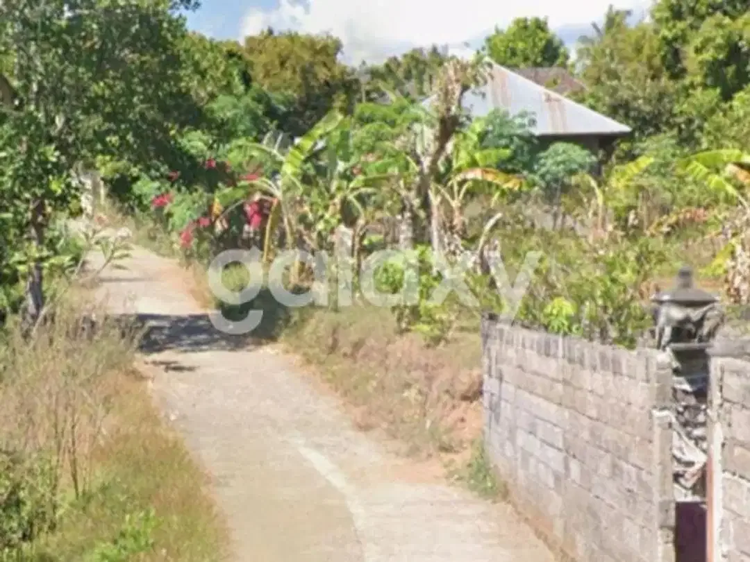 TANAH KEBUN SHM DI DESA BANGKALA KUBUTAMBAHAN SINGARAJA BULELENG, BALI - Image 8 of 8