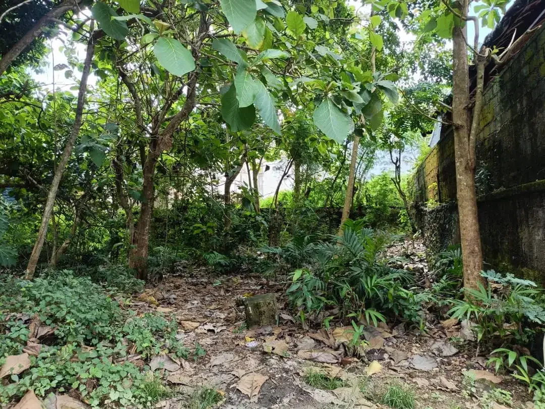 Dijual MURAH! Tanah 630m2 SHM Cocok Untuk Rumah Kos di Nusa Dua - Image 6 of 10