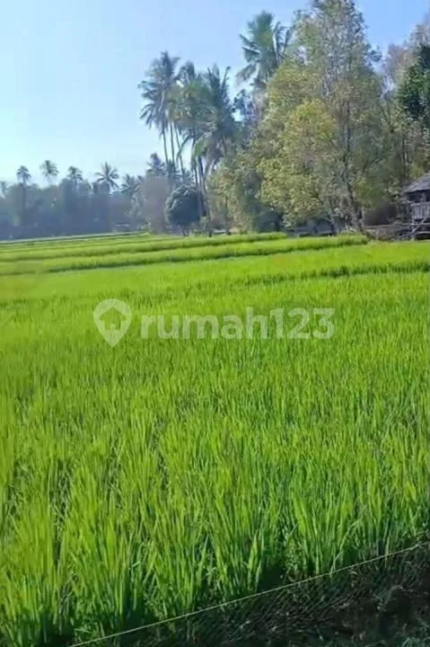 Tanah Jual Lokasi Banyuatis - Image 3 of 3