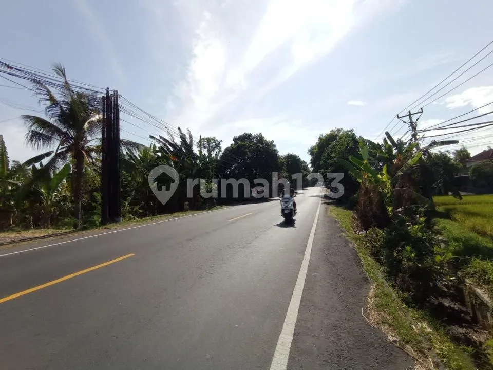 Rumah Siap Lelang Btn di Sukasada, Bali - Image 4 of 4