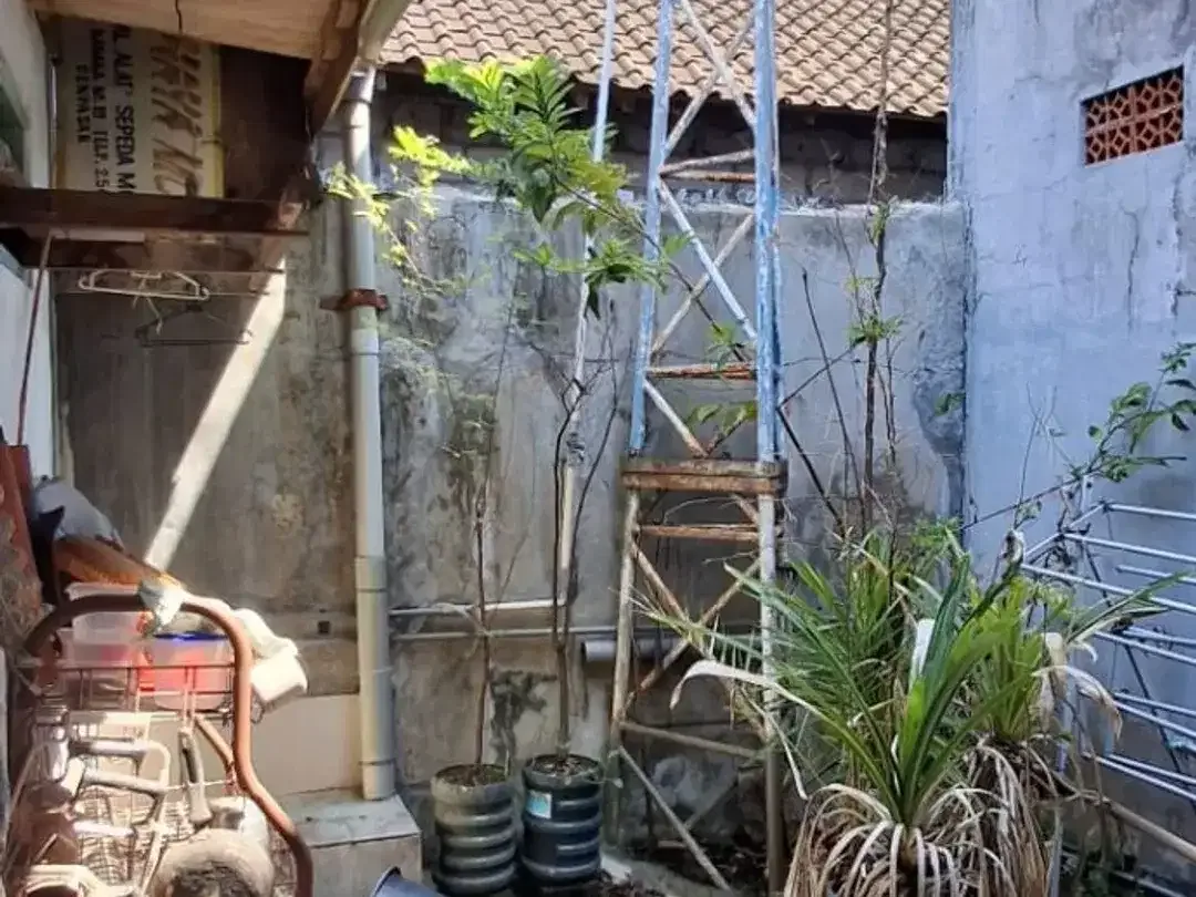 Dijual tanah bonus rumah 1 lantai di Gatsu Tengah Denpasar Bali - Image 4 of 5