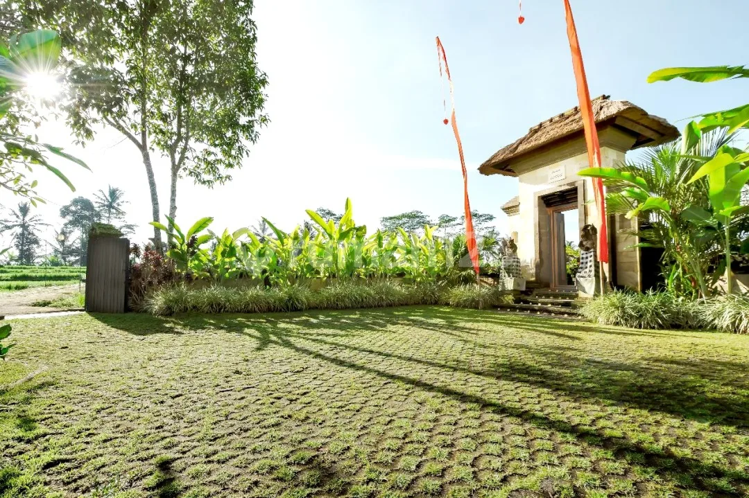Turun Harga...Beautiful Villa With Rice Field View , Only 20 Minutes To Central Ubud At Tegalalang Ubud - Image 4 of 4