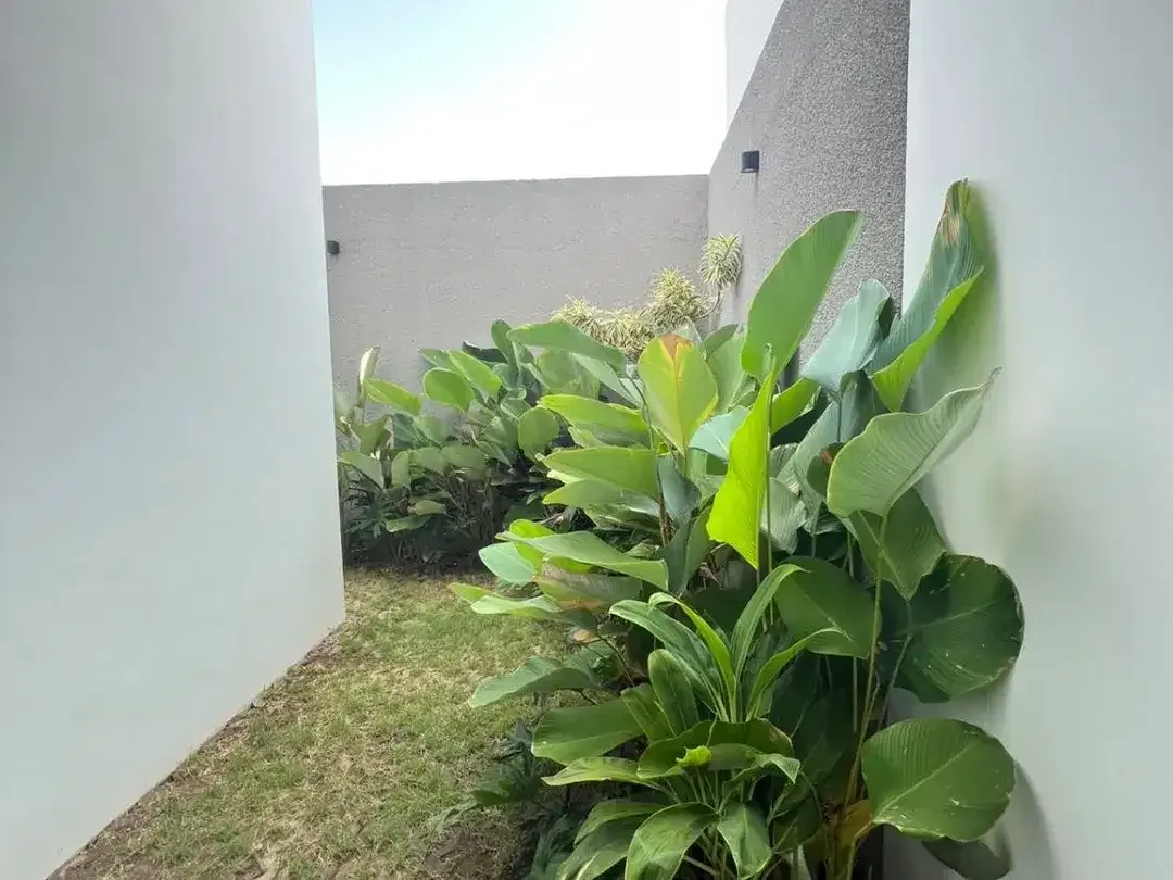 Disewakan Segera Rumah Baru di Jalan Tukad Balian, Renon - Sanur Dekat Moral School - Image 3 of 10