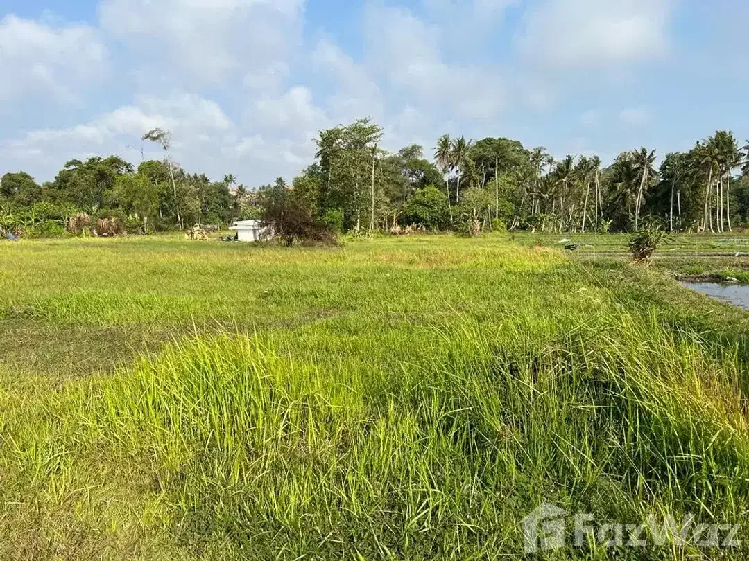 Land for sale in Nyanyi, Bali - Image 5 of 5