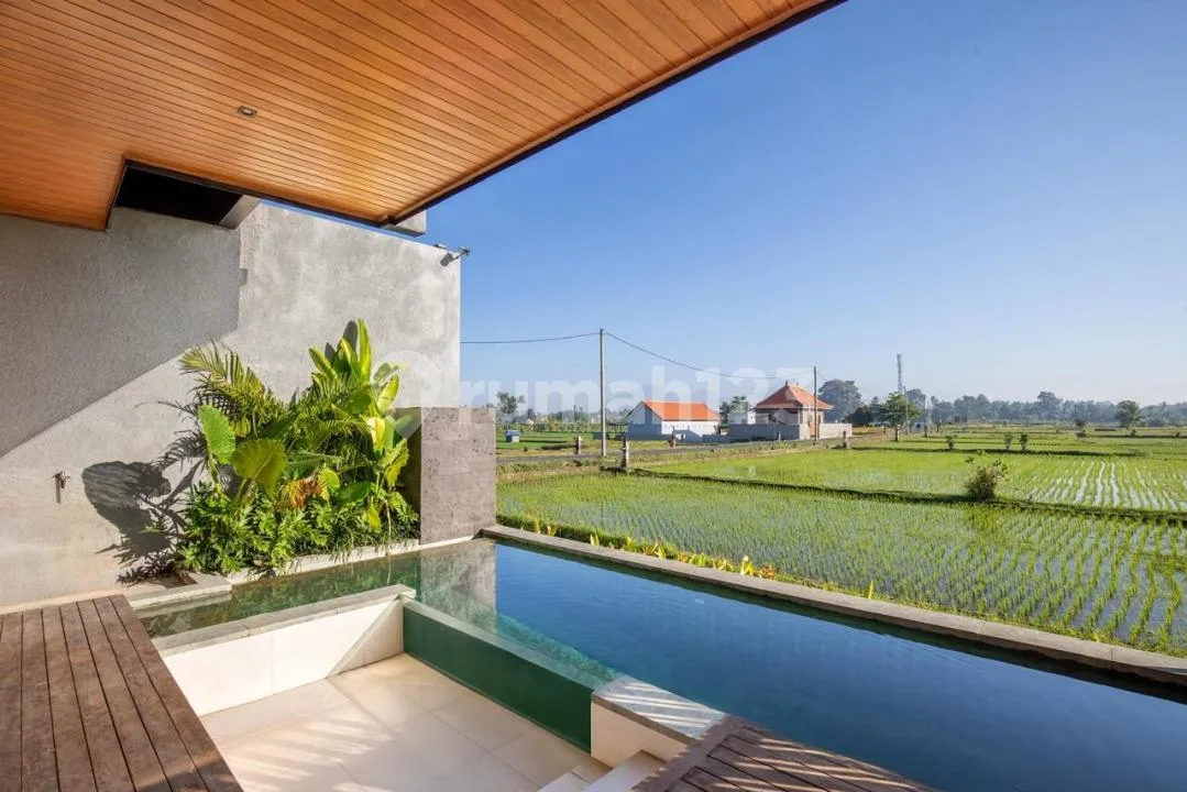 Villa 2 Units 2 KT SHM Cocok untuk Investasi View Sawah di Ubud Bali - Image 2 of 4