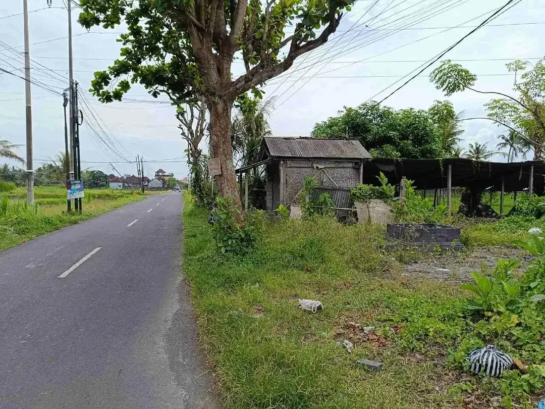 Tanah Cocok Untuk Toko dan Usaha Pinggir Jalan Utama Pering Tojan Blahbatuh - Image 2 of 4