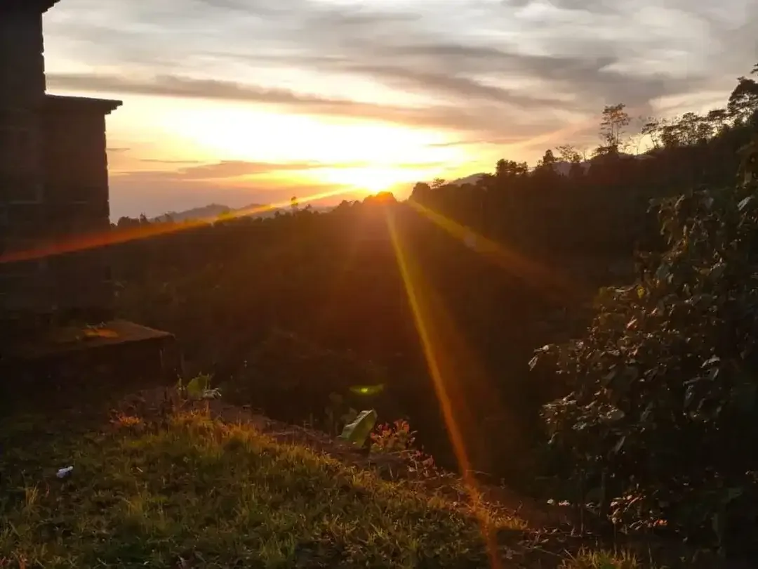 TANAH LUAS DI KAWASAN WISATA BARU BALI UTARA BULELENG - Image 6 of 10