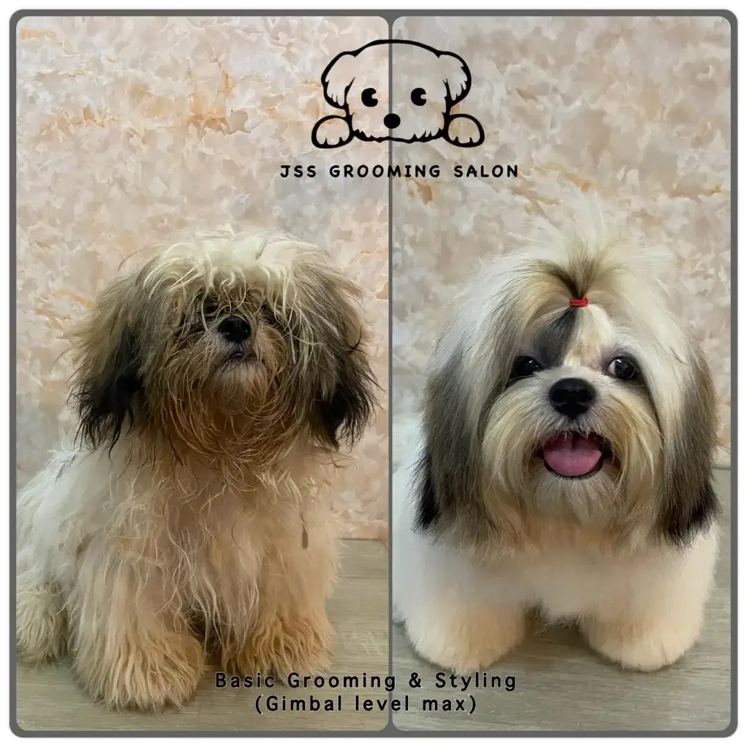 JSS Pet grooming  salon - Image 9 of 9