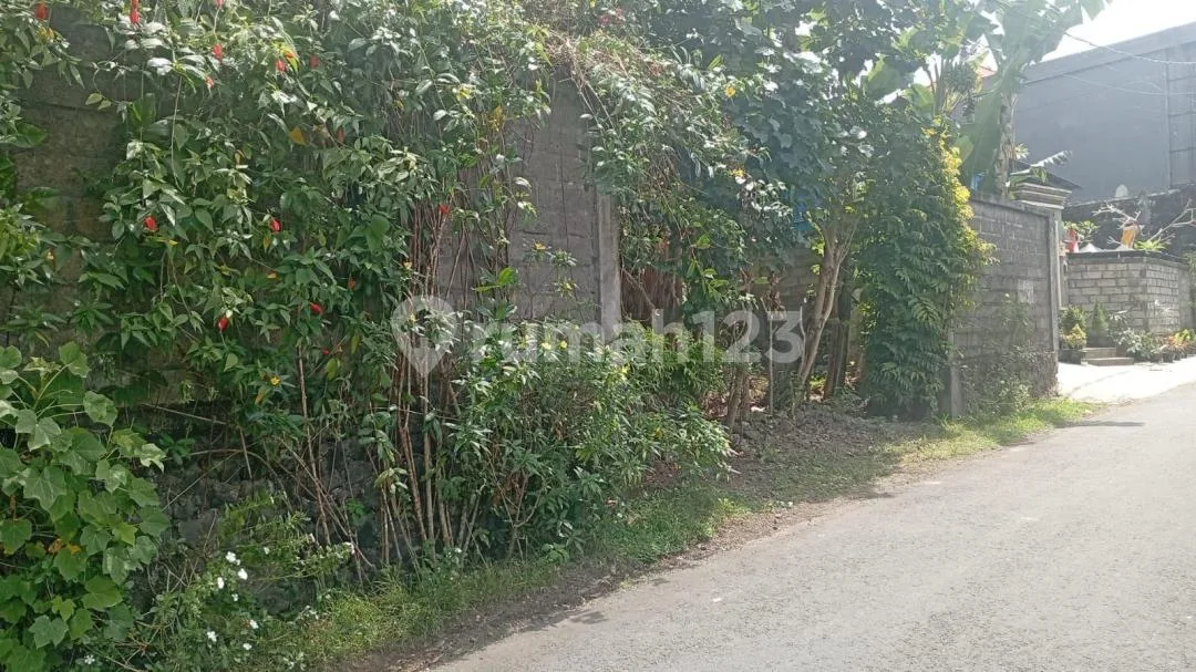 Tanah di Jual di Ubud Lokasi Dalam Komplek Cocok untuk Kokosan Lokasi Tananh Pinggir Jalan - Image 1 of 4
