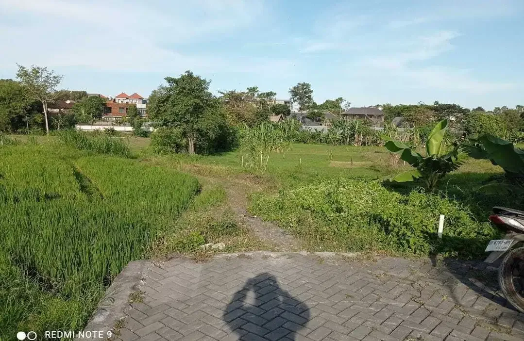 Tanah View Sawah Terasering Dekat Pantai Berawa Canggu - Image 7 of 10