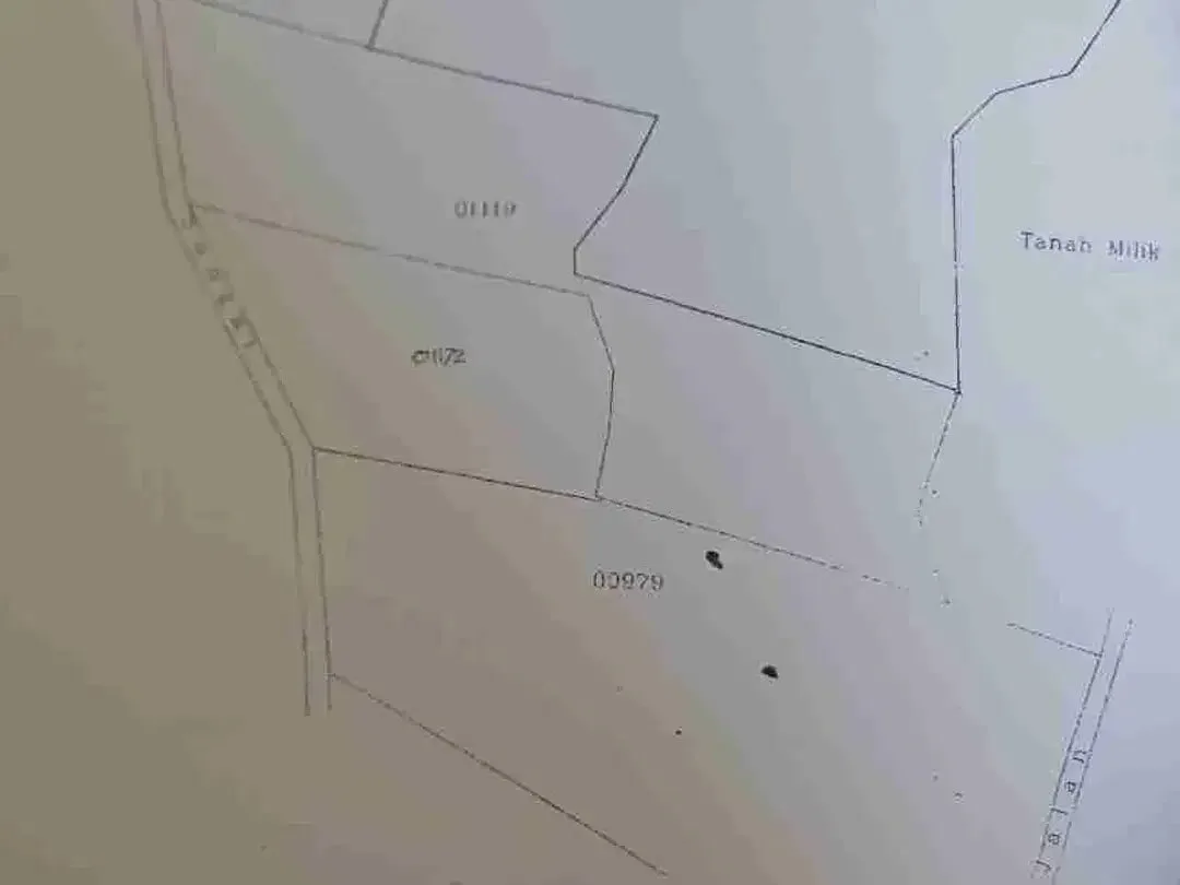 Dijual Tanah Kebun - Image 9 of 10