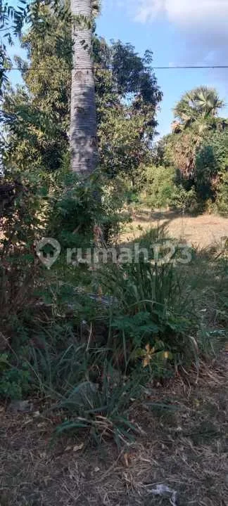 Dijual Lahan Di Pemutaran Bagus Buat Villa - Image 3 of 4