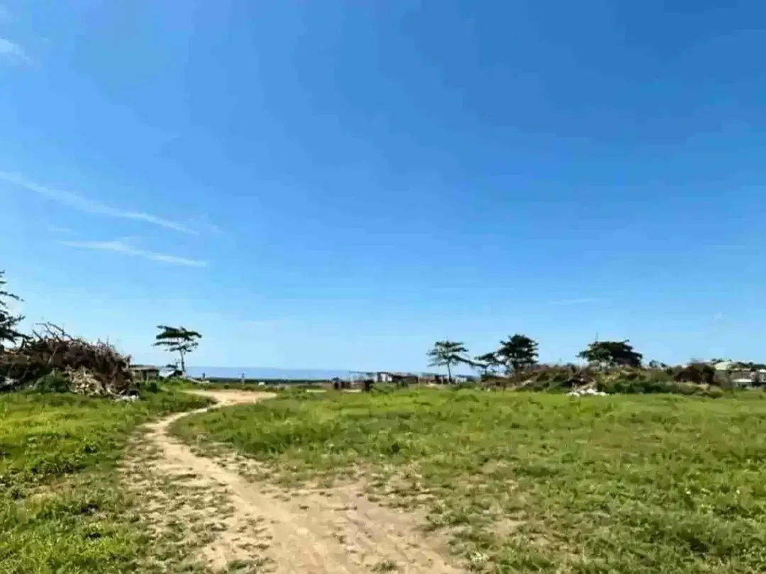 DIJUAL TANAH LOS PANTAI LEBIH, GIANYAR, BALI - Image 2 of 8