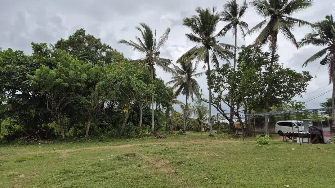 Dijual Tanah Hanya 30 Meter dari Pantai, Berlokasi di Antap, Tabanan - Image 3 of 6