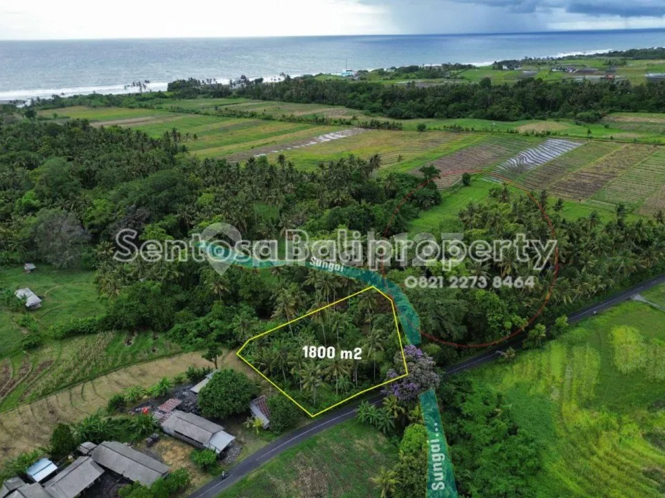 Tanah 1800 M2 di Beraban Selemadeg Tabanan - Image 2 of 4