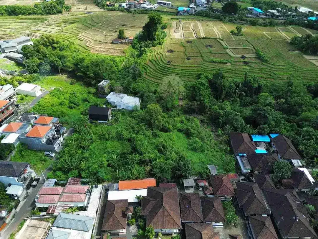 Land for Lease with Rice Field Views in Buduk - Image 3 of 9