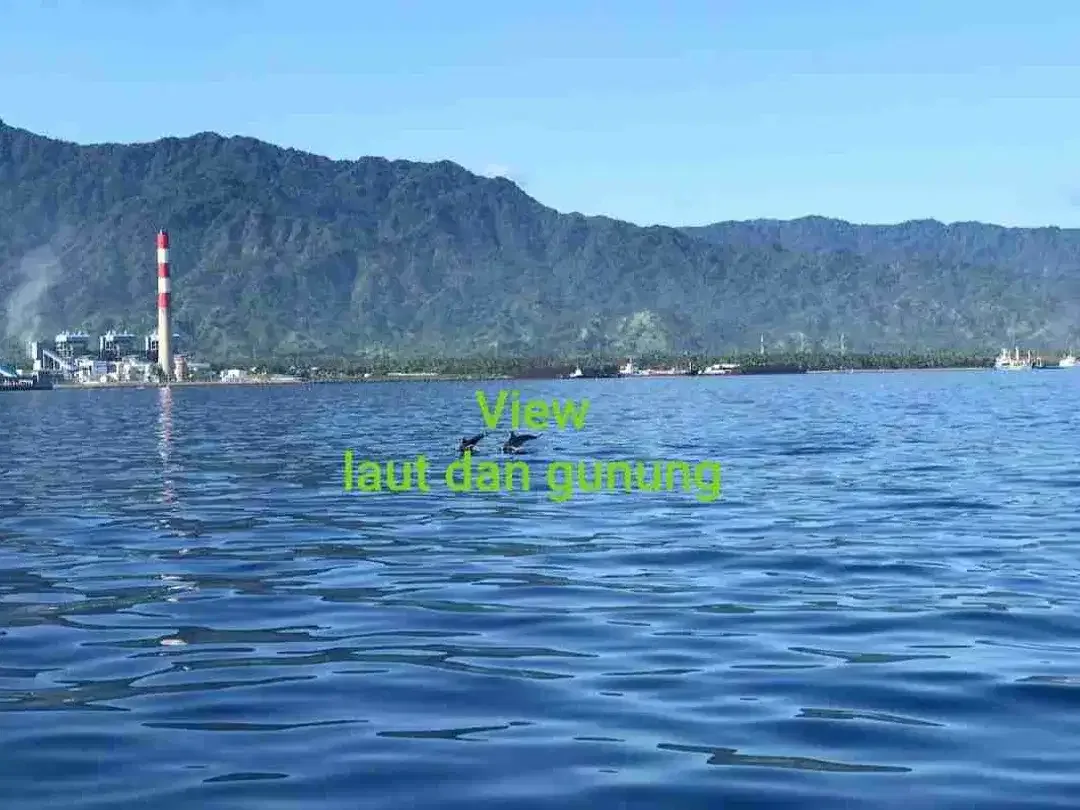 BEACHFRONT LAND for sale Jual tanah 53,92are di TEPI PANTAI Kalisada Buleleng Bali - Image 2 of 10