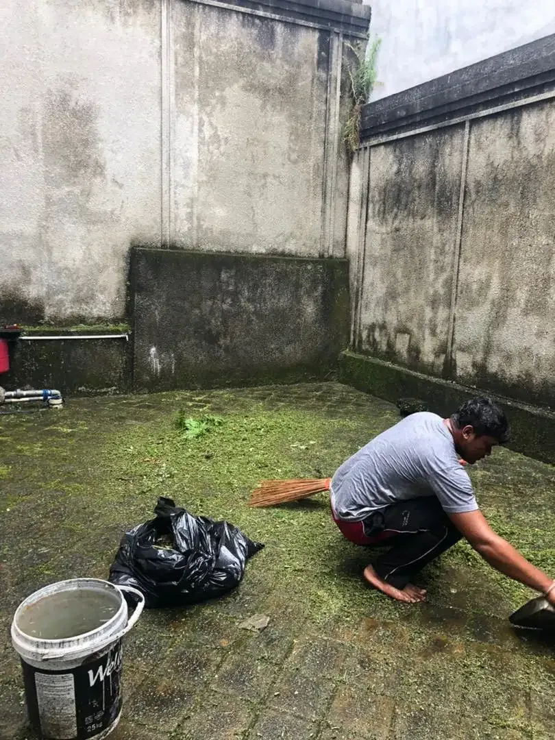 jasa potong rumput panggilan - Image 5 of 10