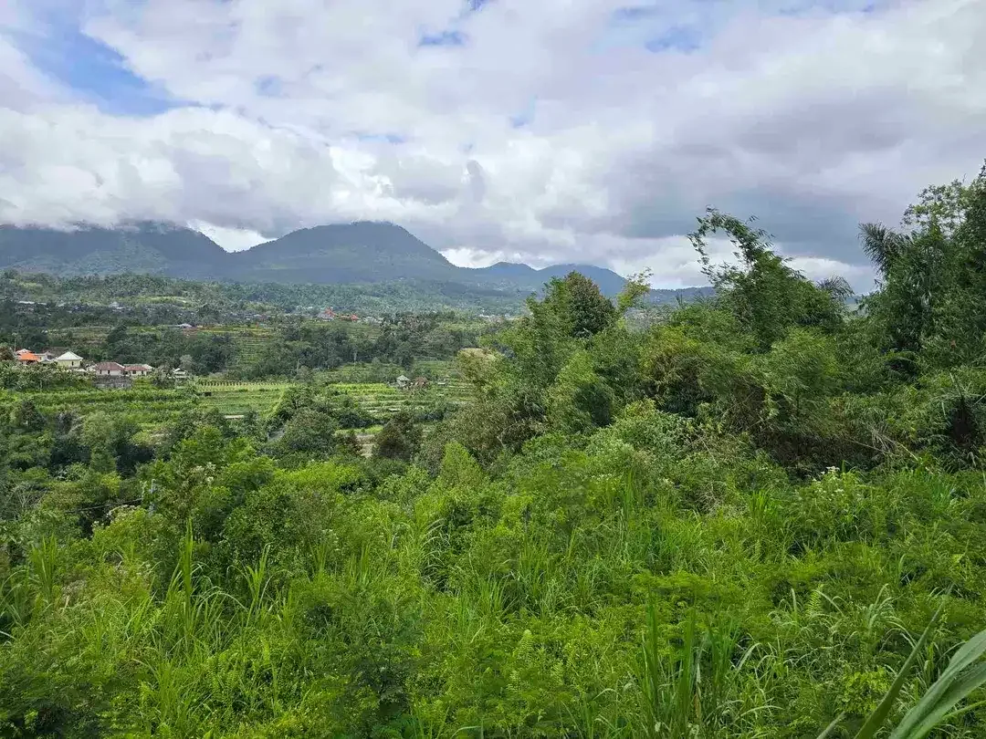 dijual tanah view exotik gunung dan terasering di baturiti bali - Image 2 of 10