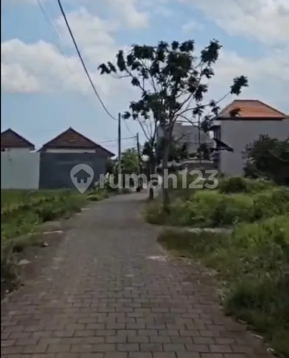 Tanah Murah dan Asri Lingkungan Villa di Nyitdah Tabanan Bali - Image 4 of 4