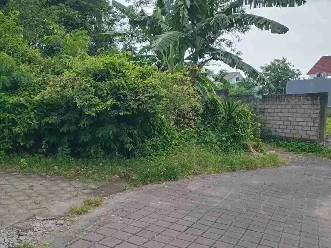 dijual di taman mumbul dekat hotel plago nusa dua Kuta Selatan Badung Bali - Image 2 of 4