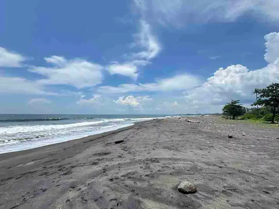 Tanah Kavling Jalan Kaki ke Pantai, View Laut & Sungai, Cocok dibangun Villa di Saba, Blahbatuh, Gianyar dekat Sanur & Denpasar - Image 3 of 10