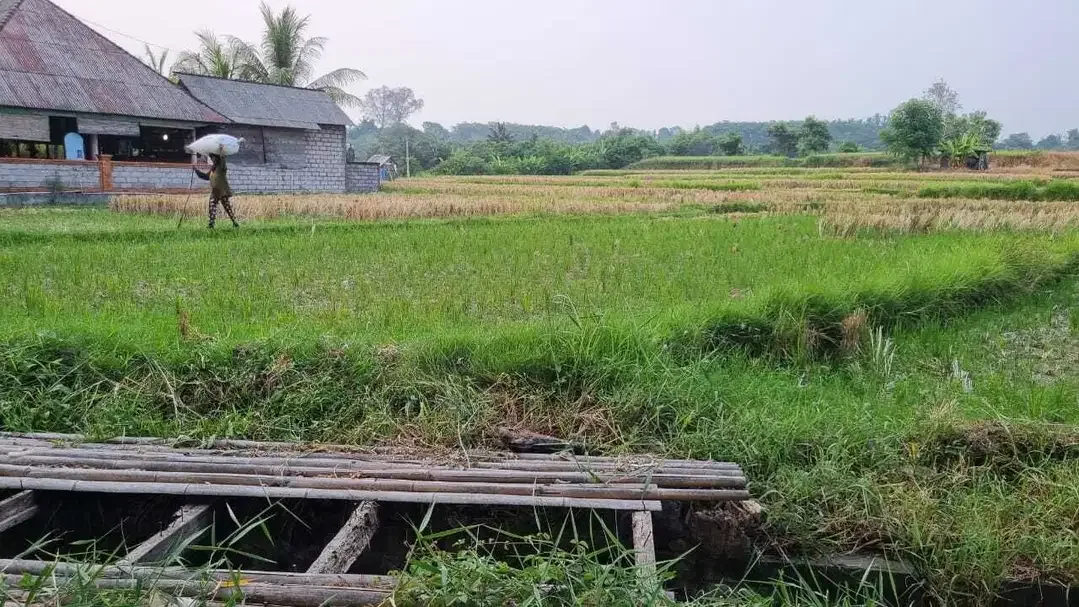 Tanah Murah Di Jalan Utama Bypass Ida Bagus Mantra Lebih Gianyar - Image 3 of 10