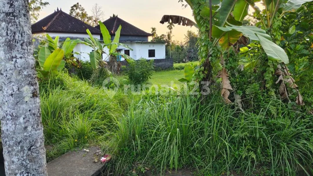 Tanah Dibawah Harga Pasaran Dekat Jalan Utama Denpasar Gilimanuk - Image 2 of 4