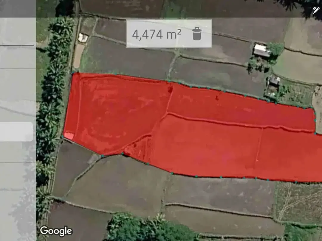 Dijual Murah Tanpa Perantara, Langsung dengan Pemilik, Tanah Sawah di Pejeng Kangin, Tampaksiring, Gianyar Bali - Image 8 of 8
