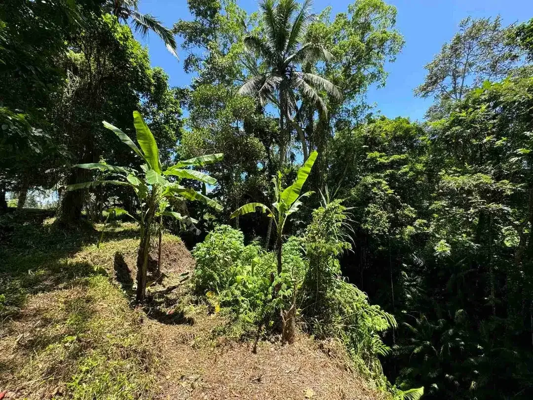 Siap Bangun Vila, Tanah Datar View Sawah di Ubud Gianyar - Image 7 of 10
