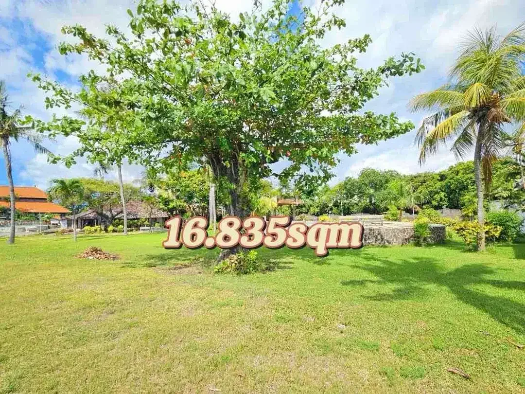 EXCLUSIVE BEACHFRONT LAND – LOVINA, NORTH BALI - Image 4 of 7