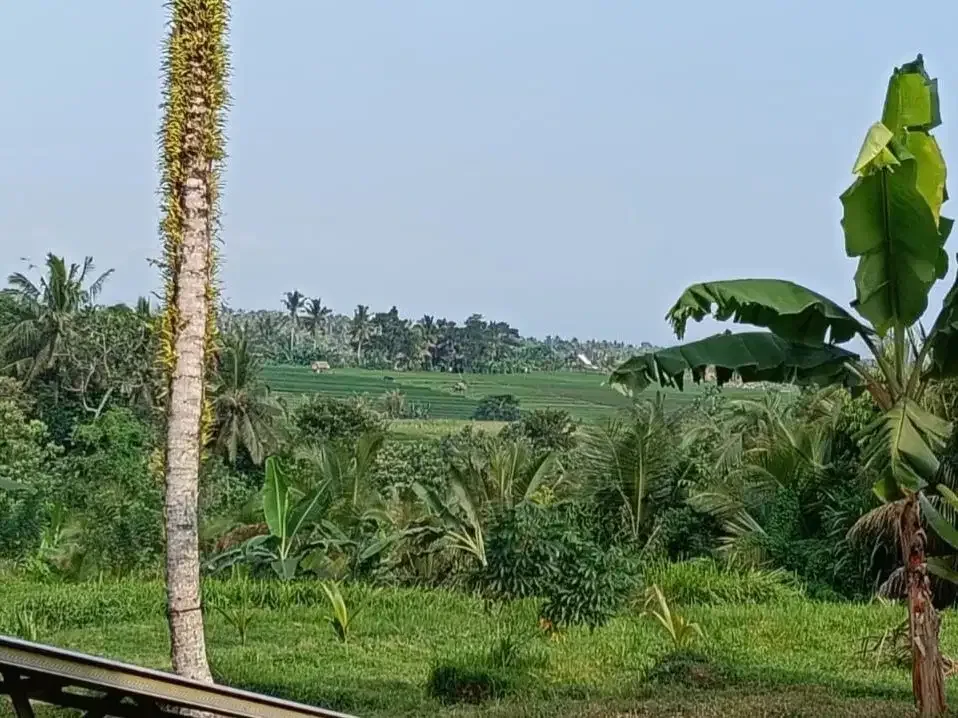 Dijual tanah kebun view sawah cantik dekat kota di bali - Image 1 of 10