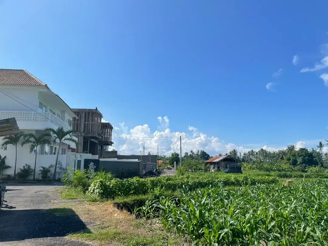 Beachfront For Sale Freehold in Ketewel Beach - Image 3 of 8