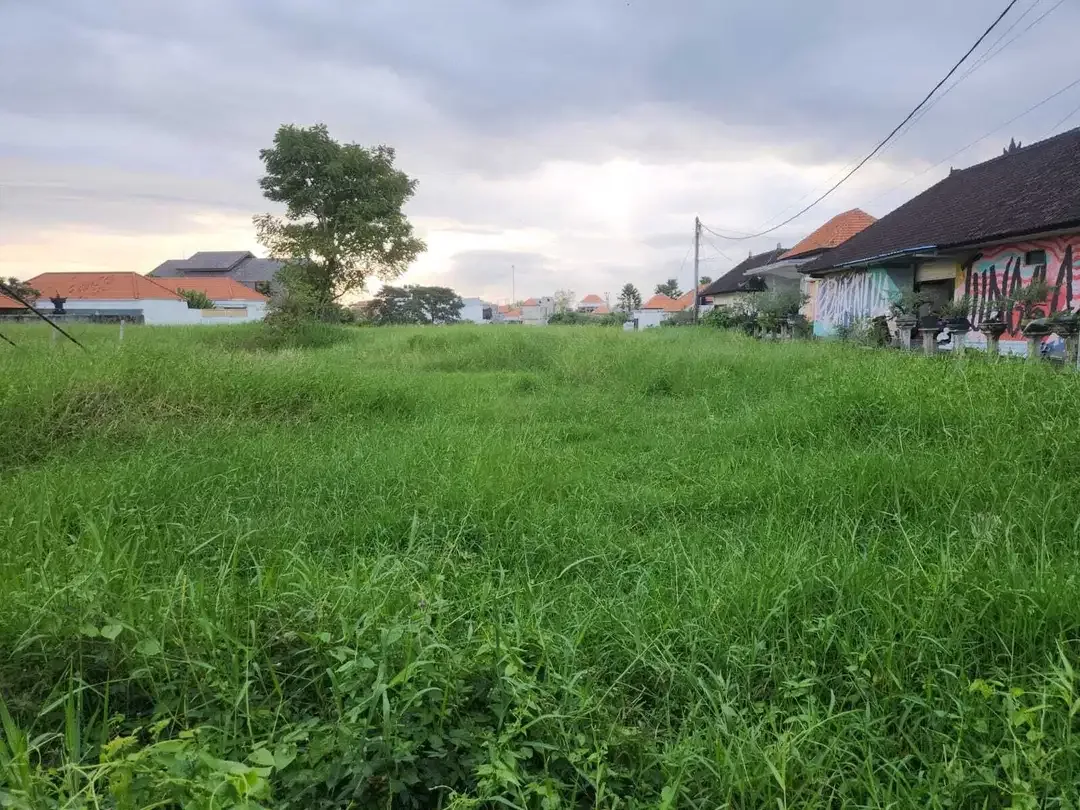 Tanah Komersial Disewakan di Padang Linjong Canggu - Image 1 of 7