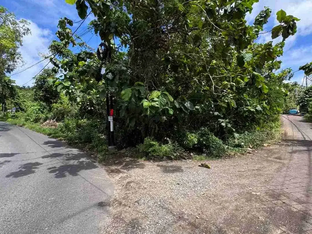 DI JUAL TANAH MURAH LOKASI PERBATASAN UNGASAN / PECATU - Image 4 of 5
