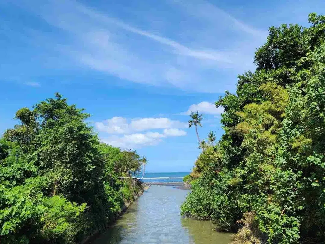 Tanah Kavling Jalan Kaki ke Pantai, View Laut & Sungai, Cocok dibangun Villa di Saba, Blahbatuh, Gianyar dekat Sanur & Denpasar - Image 8 of 10