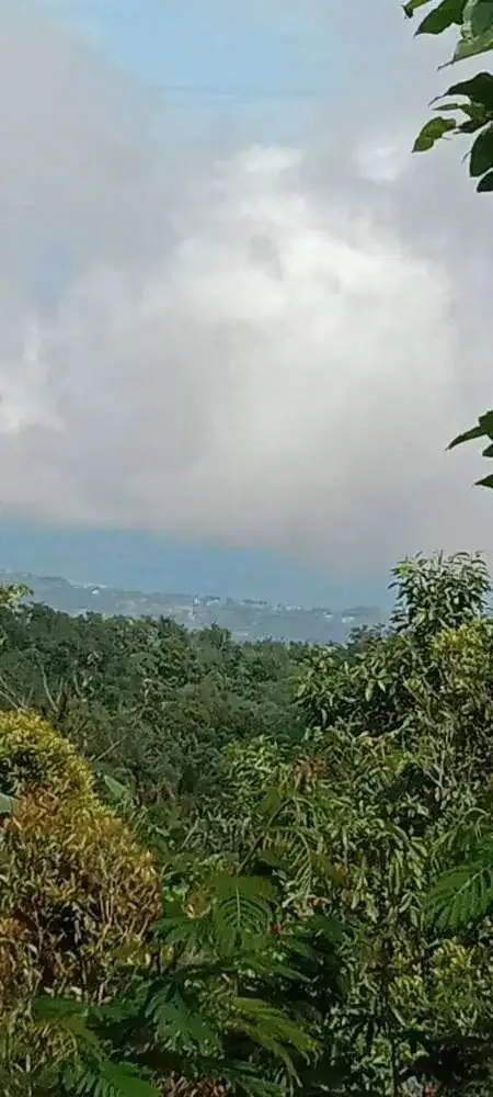 BUC TANAH DIJUAL FULL VIEW LAUT BALI UTARA - Image 2 of 3