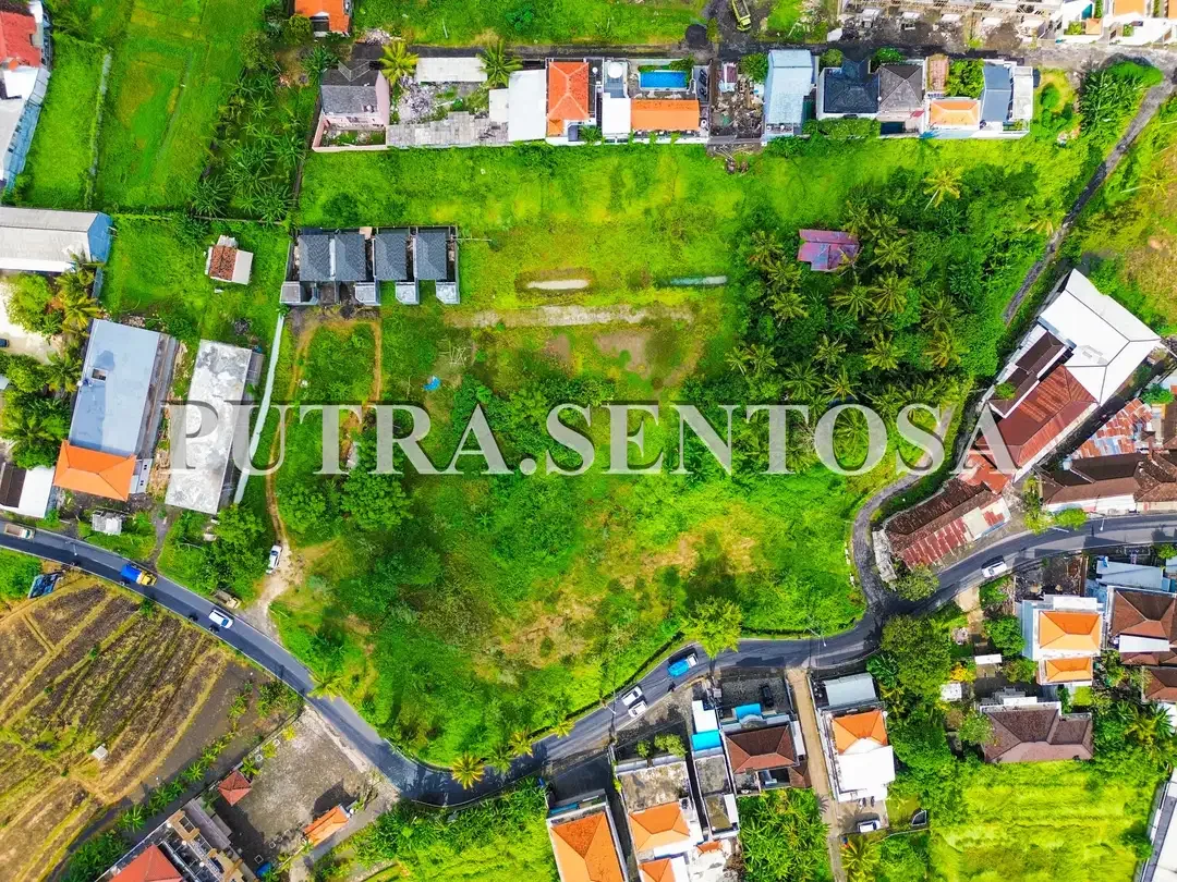 LAND FOR LEASE MAIN ROAD CANGGU NYANYI - Image 4 of 10