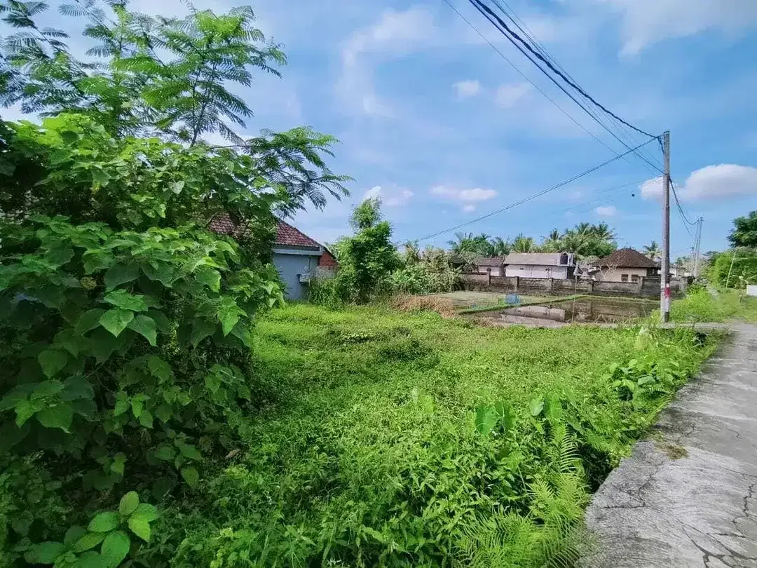 Scenic 2 Are Leasehold Land in Ubud with Rice Field View - Image 8 of 10